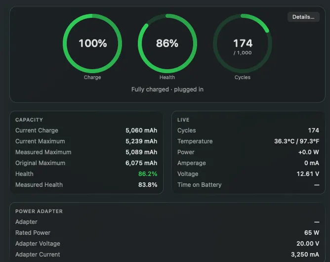 The Overview window: charge, health and cycles, then capacity, live readings and the adapter.